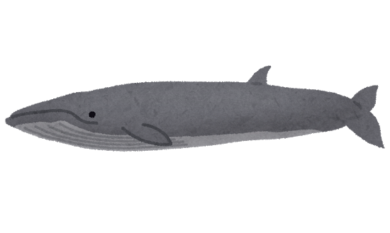 やっぱりNHKは外せないのよね