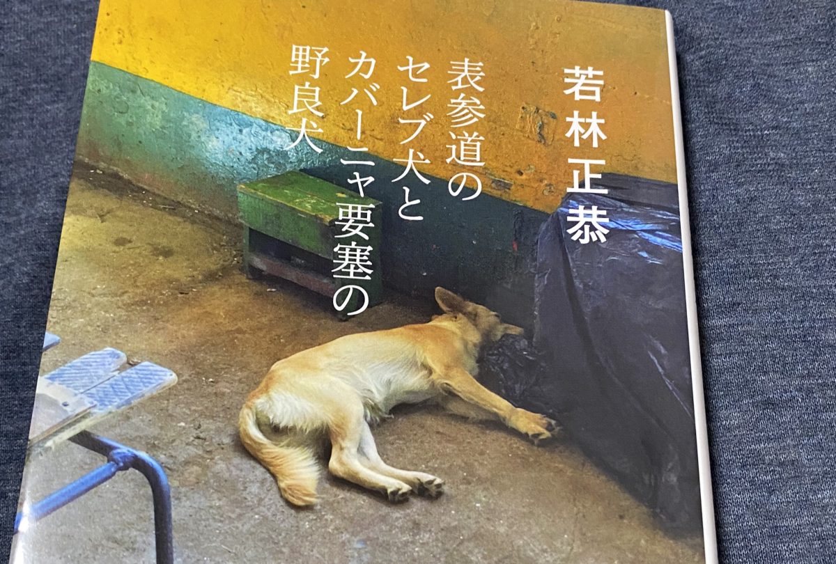 『表参道のセレブ犬とカバーニャ要塞の野良犬』（文庫版）を読んでいる